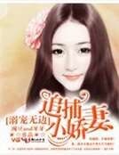 《宠溺无边,追捕小娇妻》