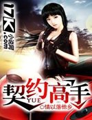 契约高手
