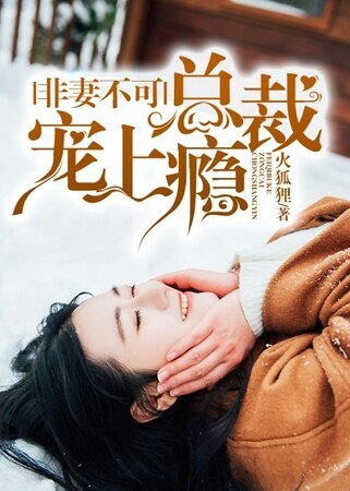 《非妻不可,总裁宠上瘾》