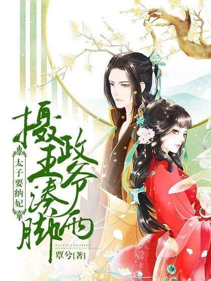 太子要纳妃：摄政王爷凑两脚