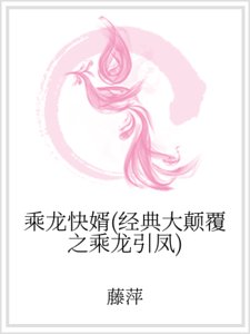 《乘龙快婿(经典大颠覆之乘龙引凤)》