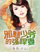 《邪魅少爷的强悍妻》