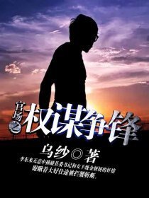 《官场之权谋争锋》