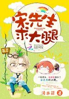 《宋先生,求大腿》