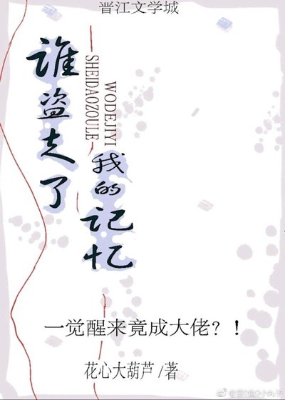 谁盗走了我的记忆