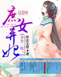 《奉旨二嫁:庶女弃妃》