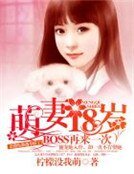 《萌妻18岁:BOSS再来一次》