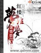 《红楼梦非梦》
