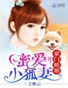 《豪门暖婚:蜜爱小狐妻》