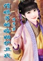 《穿越之悍辅的婚姻护卫战》