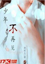 《少年不再见》
