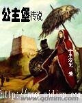 《公主堡传说》