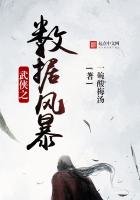 《武侠之数据风暴》