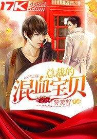《总裁的混血宝贝》