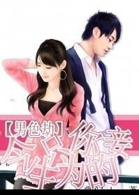 《男色劫:今生只为你的妾》