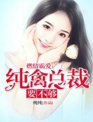 《燃情霸爱:纯禽总裁要不够》