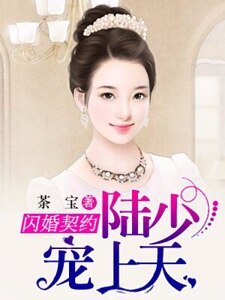 《闪婚契约:陆少宠妻上天》