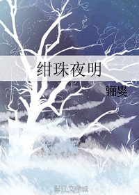 《绀珠夜明》
