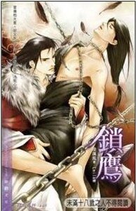 《锁鹰(出书版)》