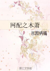 网配之木萧