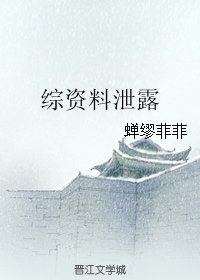 （综同人）综资料泄露