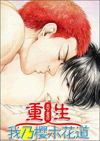 《(SD同人)重生我乃樱木花道》