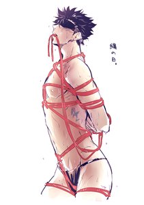 小骚菊