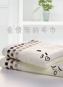 《会说话的毛巾》