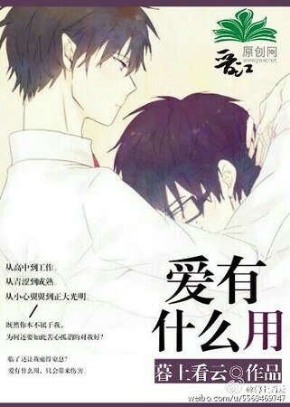 《爱有什么用》