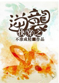 《侩穿之逆袭》