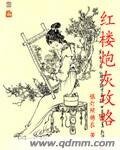 《(红楼同人)红楼炮灰攻略》