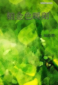 《(HP同人)铂金色暖阳》