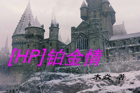 《(HP同人)铂金情》