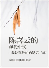 《(红楼同人)陈喜云的现代生活》