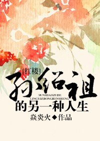 （红楼同人）孙绍祖的另一种人生