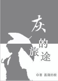 （宠物小精灵同人）[宠物小精灵bw]灰的旅途