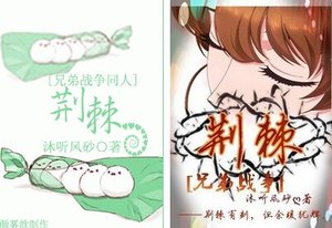 《(兄弟战争同人)荆棘》