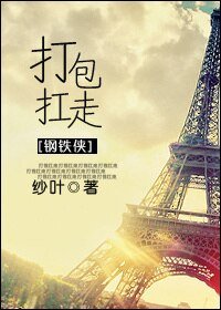 （钢铁侠同人）打包扛走