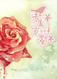 《(NANA同人)专属宠爱》