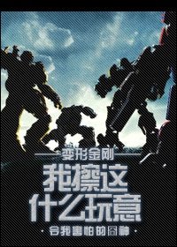 《(变形金刚同人)我擦这什么玩意》