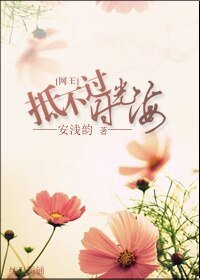 《(网王同人)网王-抵不过时光海》