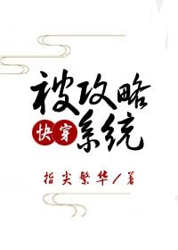 《被巩略系统(侩穿)》
