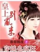 《穿越也疯狂:皇上,别乱来》