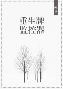 《重生牌监控器》