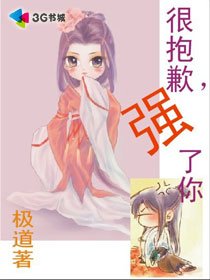 《很抱歉,强了你!》