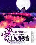 《重生之王妃爬墙》