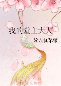 《我的堂主大人》