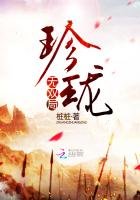 《珍珑.无双局》