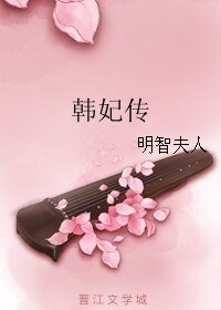 《韩妃传》