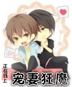 宠妻狂魔正在线上